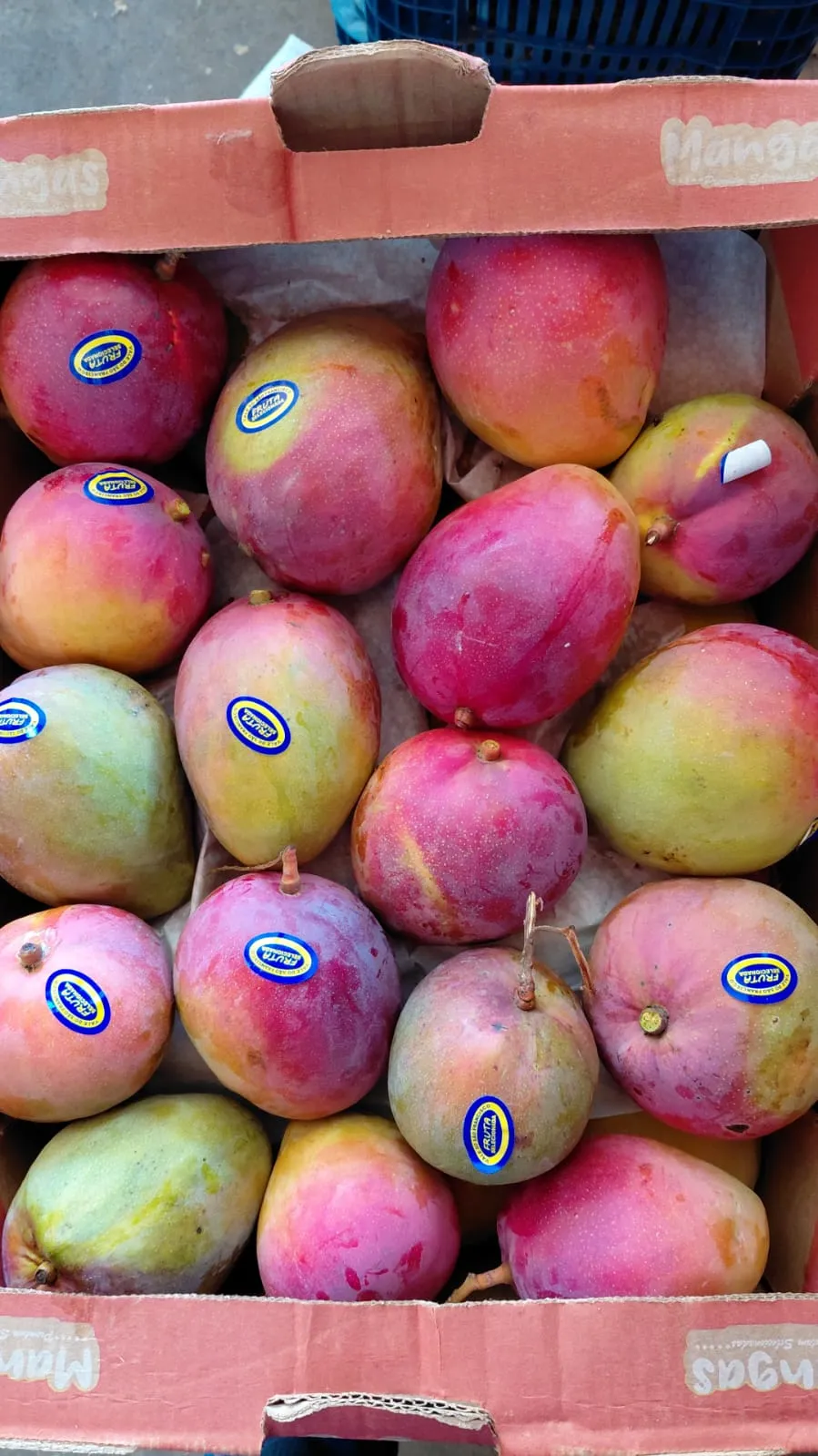 Frutas